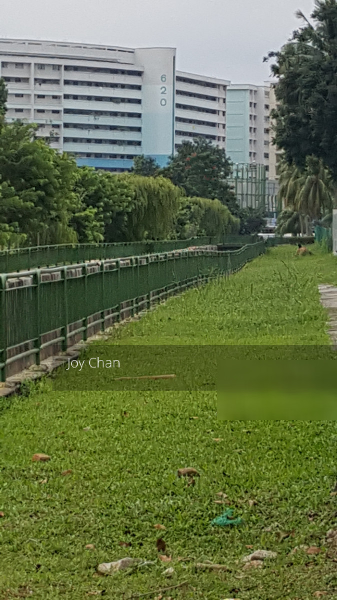 Bedok Reservoir Road thumbnail photo